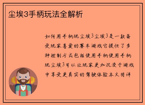 尘埃3手柄玩法全解析