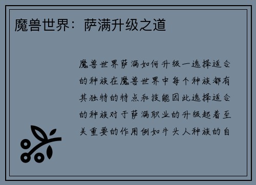 魔兽世界：萨满升级之道